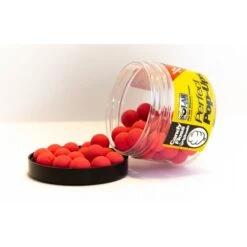 Pesca Equipos Tienda -Pesca Equipos Tienda 937A6569 550x550w