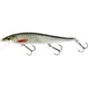 Westin Jerkbite SR 11cm 13.5g Suspensión Real Roach -Pesca Equipos Tienda P184 551 143 550x550w