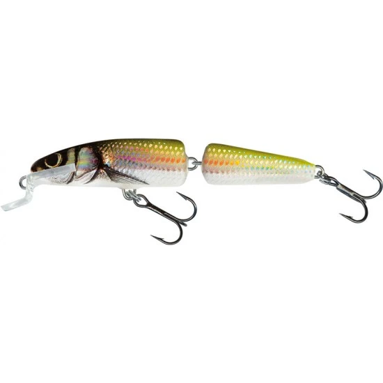 Salmo Fanatic Floating 7cm Holo Bleak 3 Salmo Fanatic Floating 7cm Holo Bleak