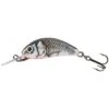 Salmo Hornet Sinking 2.5cm Brillo Holográfico Gris 2 Salmo Hornet Sinking 2.5cm Brillo Holográfico Gris -Pesca Equipos Tienda Salmo Hornet Sinking 2 5cm Holographic Grey Shiner 550x550w