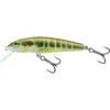 Salmo Minnow Flotante 7cm Minnow 1 Salmo Minnow Flotante 7cm Minnow -Pesca Equipos Tienda Salmo Minnow Floating 7cm Minnow 550x550w