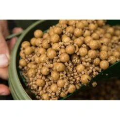 CC Moore Live System Caducidad Mancuernas 10-15mm -Pesca Equipos Tienda cc moore najaar live system header team outdoors 550x550w 1