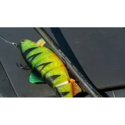 Fox Rage Terminator Casting Rod Power Shad 225cm 20-90g -Pesca Equipos Tienda dsc04975 550x550w 1