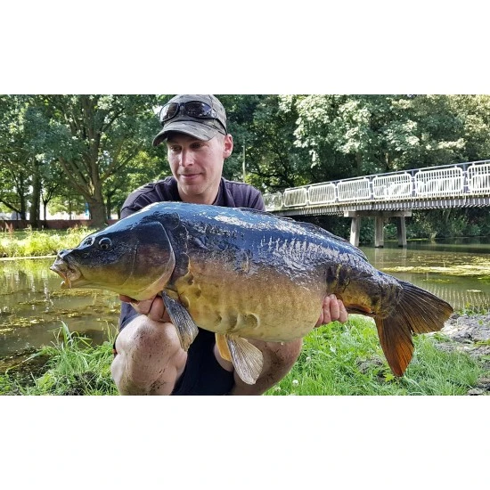 Fortis Eyewear Fundas Para Gafas De Sol 24 7 8 Fortis Eyewear Fundas Para Gafas De Sol 24 7 - Imagen 6